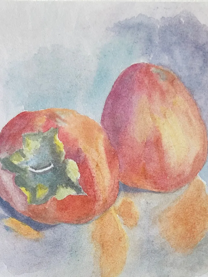 Persimmon original watercolour painting wall art fruit modern painting hand painted paper size 7x9 inches
