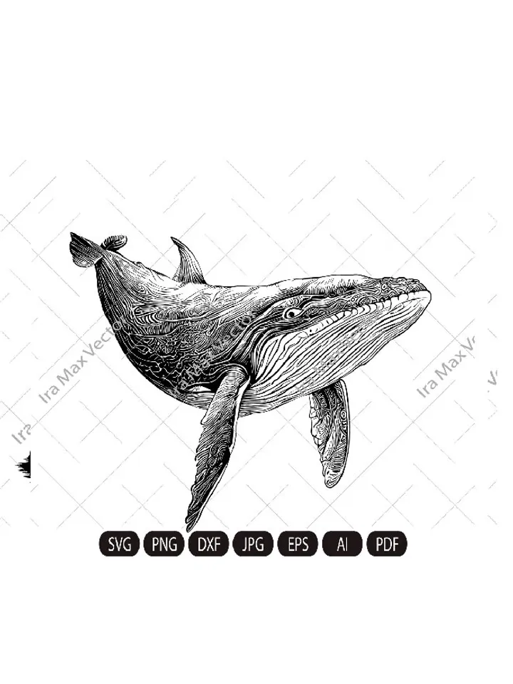 Whale Svg, Whale clipart, whale detailed , whale silhouette, whale png, humpback whale, Printable Whale Svg, ocean svg, fish svg, blue whale