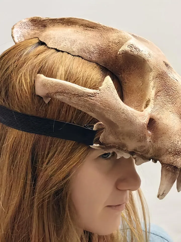 Lynx Skull Crown | Cat Skull Helmet | Realistic Animal Skull on head | tribal headpiece | Headpiece skull | ritual mask | pagan