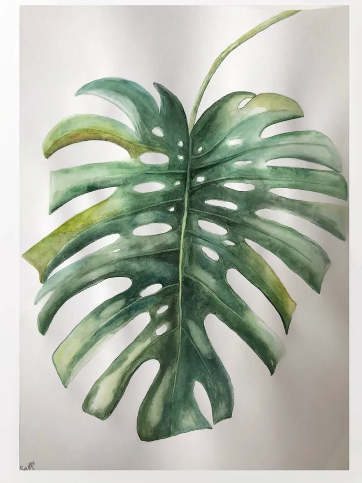 Original Watercolor painting monstera flowers wall art 11.6 x 16.4'' inches