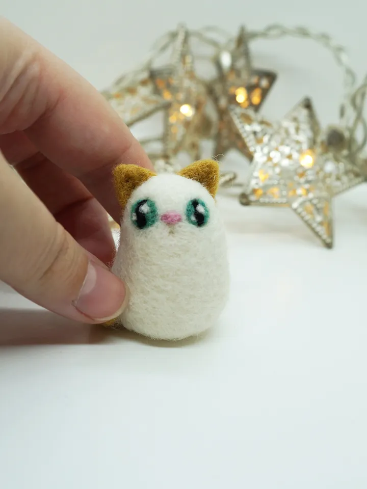 Miniature needle cat, cute cat