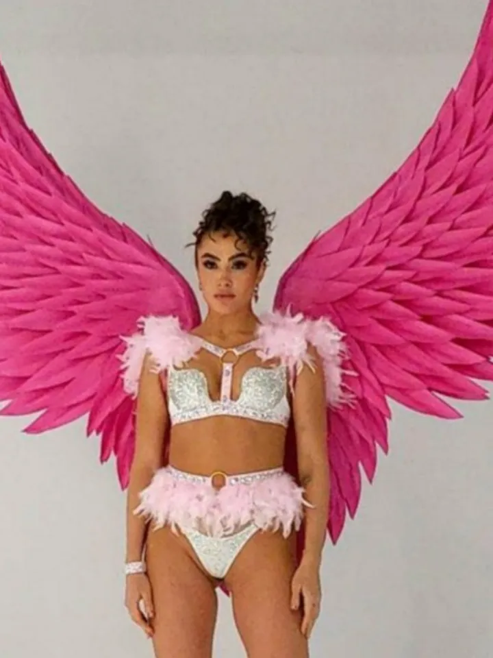Angel Wings costume, Wings cosplay, Pink sexy wing, Christmas angel, Adult Angelic wings, Dance Show costume, Nightclub
