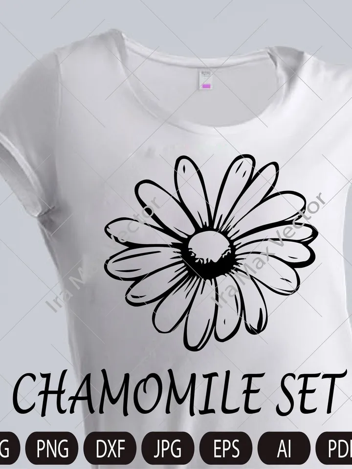 Chamomile Flowers Clip Art, Chamomile PNG, Floral Clipart, Herbal Clip Art, Wildflower, Wedding Invitation, Detailed Floral Illustration