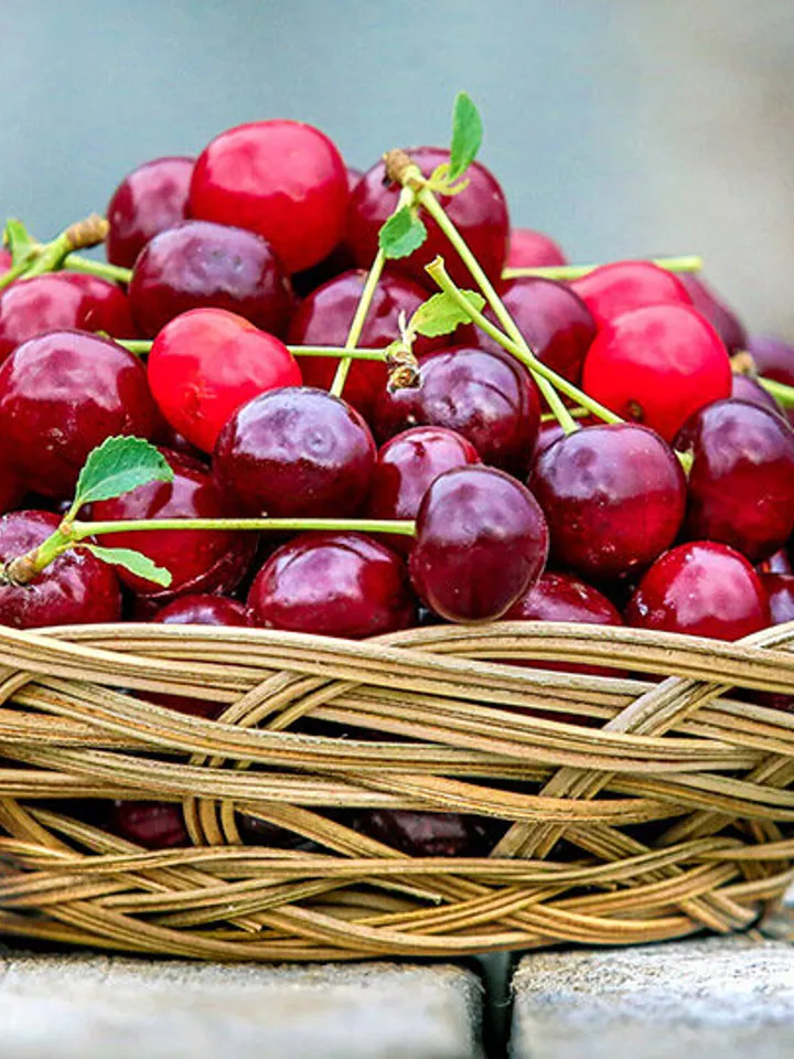 Dried Cherries, 1000gr.(35.27oz)