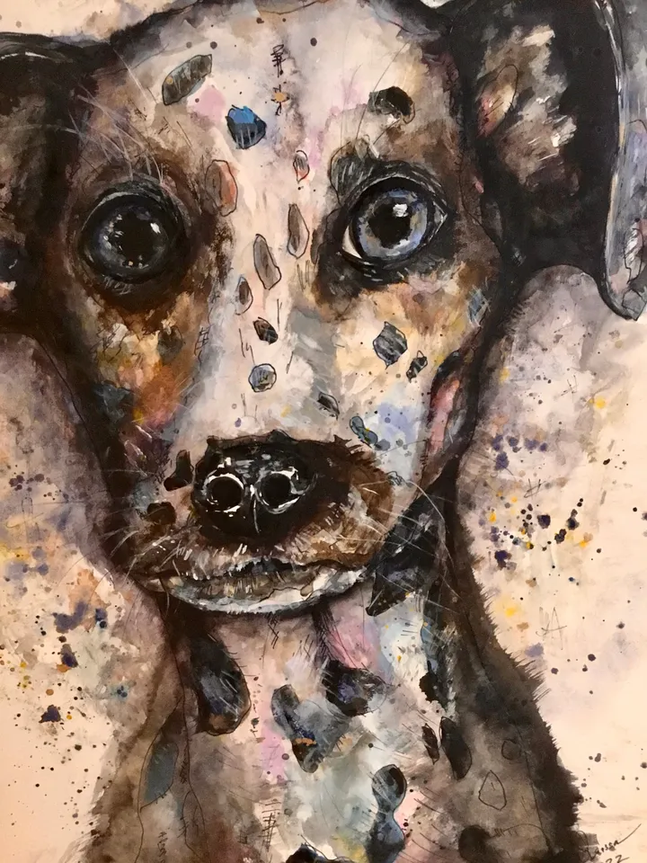 Dalmatian dog original watercolour painting,funny animals painting,dog wall decoration.watercolour wall art,kids room decoration.