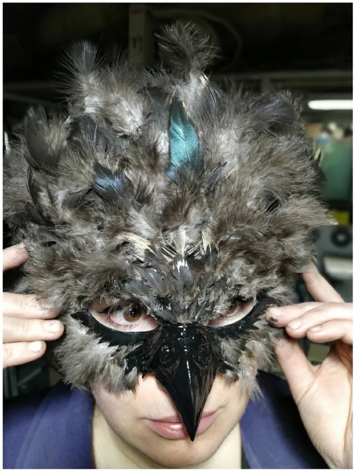 Falcon mask - Mask Hawk - Mask eagle - bird mask - cosplay mask - Mr. bird - Mrs
