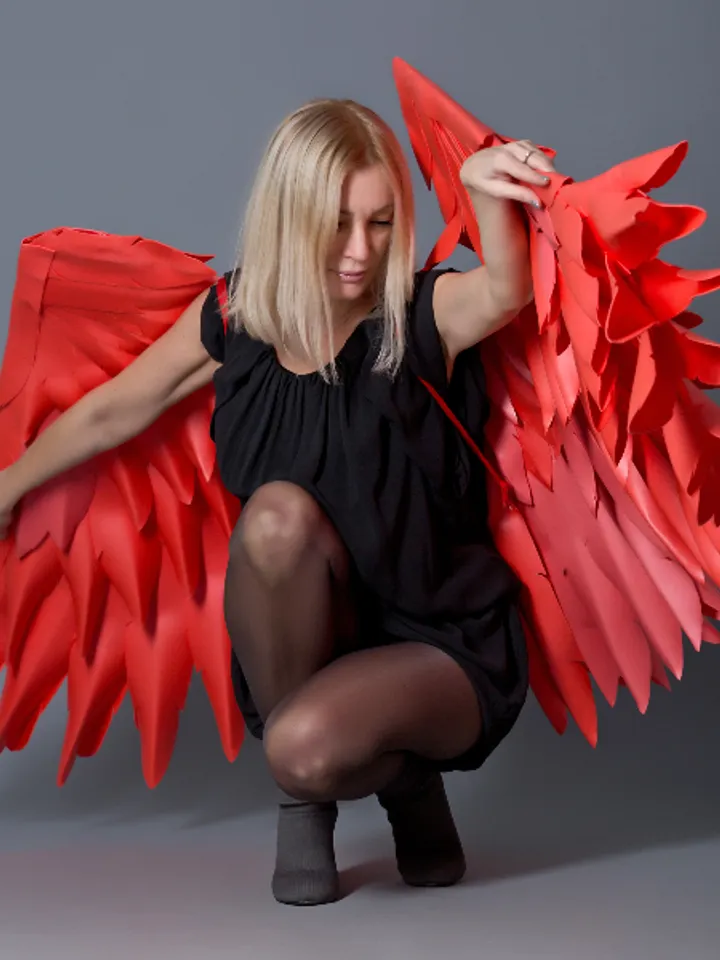 Christmas day costume, red angel wings, cosplay sexy, Valentines day gift, birthday party photo