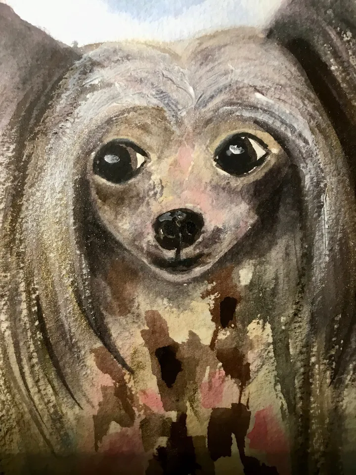 Chinese crested dog original watercolour painting,funny animals painting kids room wall art,dog lovers gifts.dogs painting wall decoration