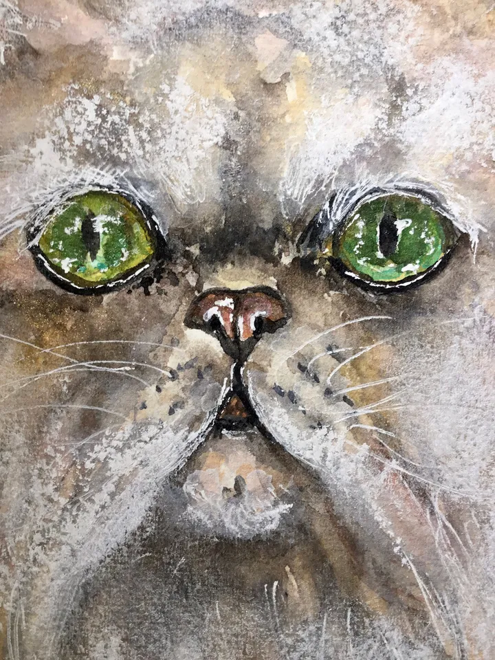 White persian cat original watercolor painting,cat lovers gift,animals watercolor painting.fluffy cat wall art,white cat art,special gift.