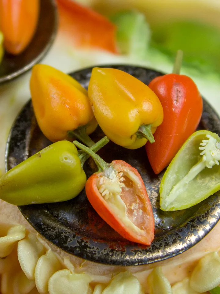 TUTORIAL Miniature pepper with polymer clay
