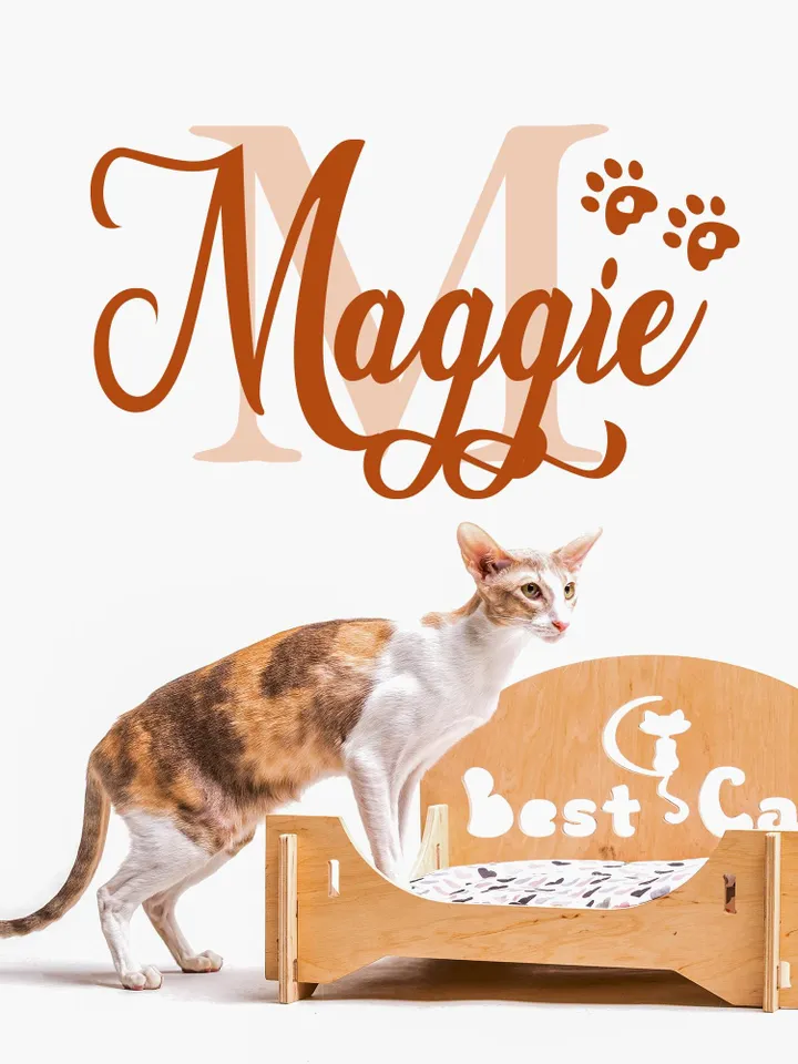 Cat Name Sticker Personalized Wall Decal Name Sign Custom Pawprint