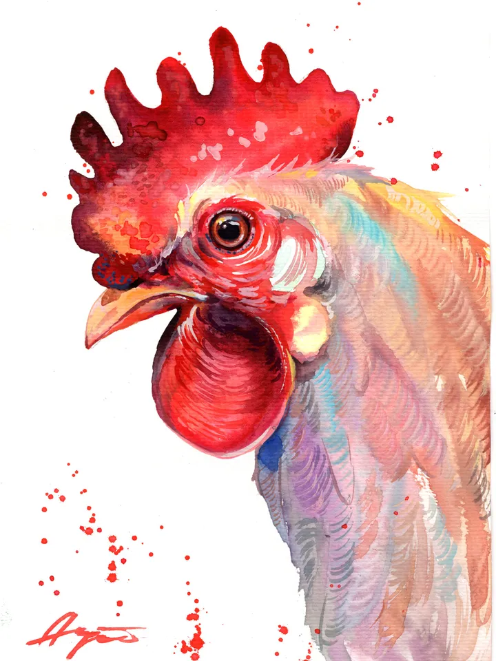 Rooster original watercolor, birds painting, wall decor, 7x10 in art for bird lovers by Anne Gorywine
