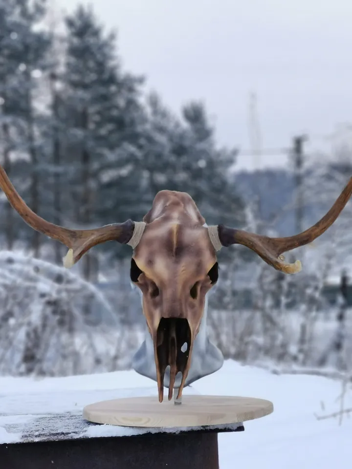 Deer Skull Mask, Antler Mask, Realistic Skull Mask, tribal headpiece, Headpiece skull, ritual mask, pagan headdress, skull costume mask