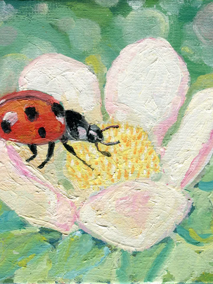 Painting flowers with a Ladybug