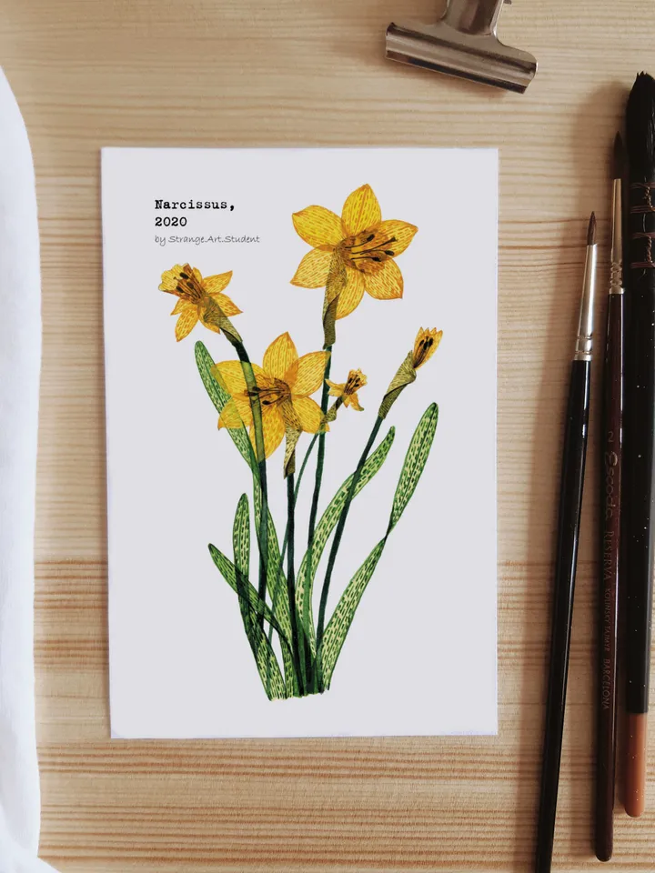 Set of 4 botanical postcards TRANSPARENT FLOWERS