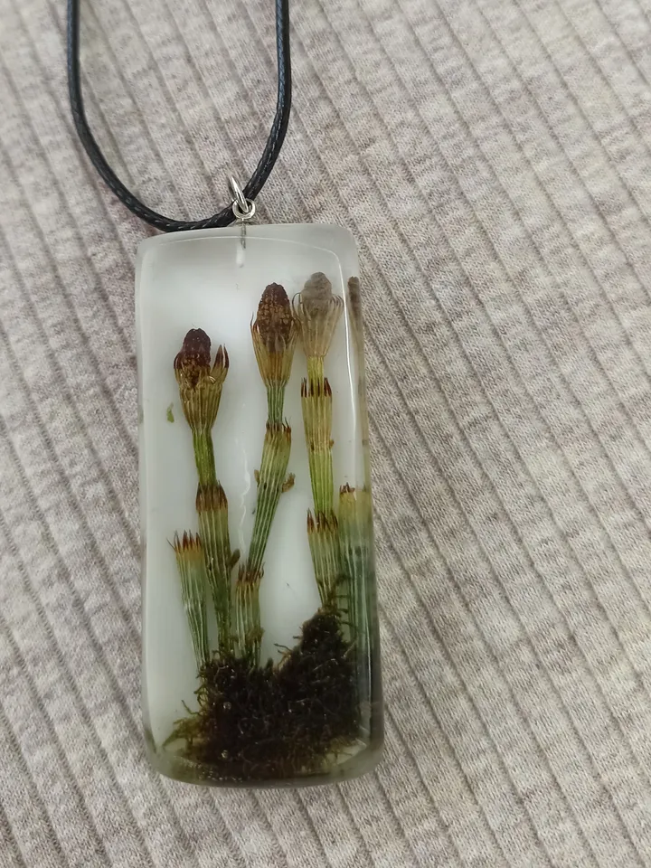 Green resin charm necklace with river horsetails Rectangle pendant with real plants