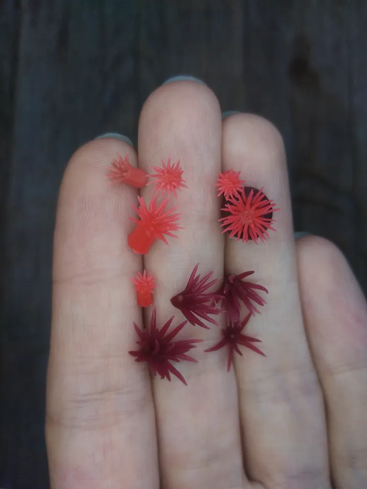 Set of miniature corals shades of red, tiny corals for diorama, dollhouse or resin art