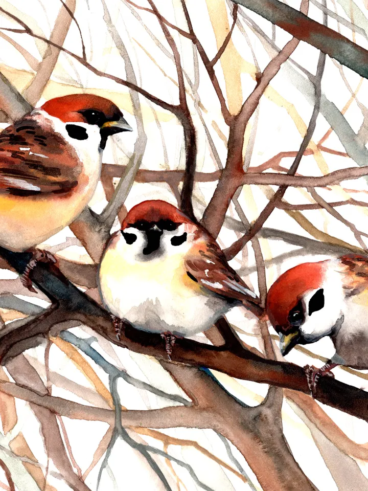 The birds i love original watercolor sparrows painting 8x11 in, sparrows on a branch art for birds lovers by Anne Gorywine