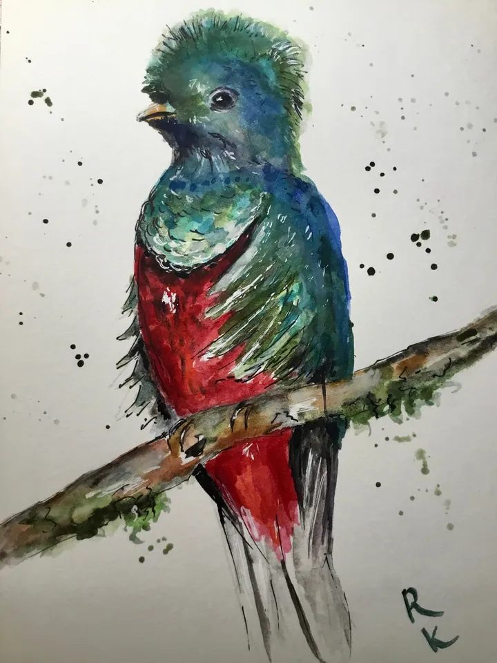 Quetzal bird original watercolour painting,exotic birds painting,watercolor birds wall art,small painting gift,original birds painting.