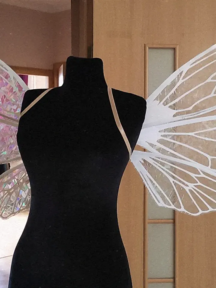 Rainbow holographic fairy wings