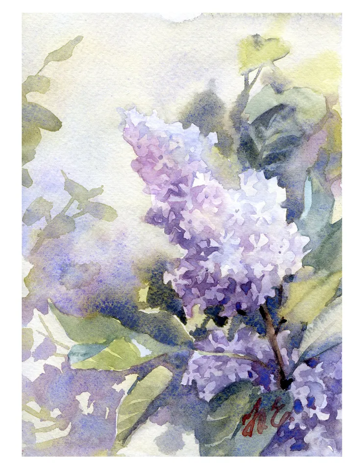 Lilac branch in Watercolor Original floral painting by Yulia Evsyukova