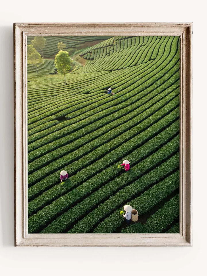 Vietnam Landscape Print | Asian Nature Wall Decor | Minimalist Green Poster | Asian Landscape Print | Vietnam Tea Garden Poster | Digital
