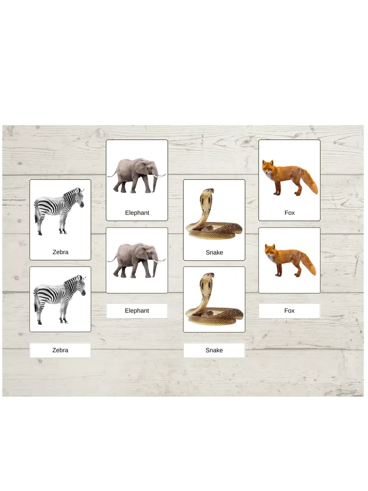Montessori Printable Cards - JUNGLE ANIMALS, Educational Material PDF