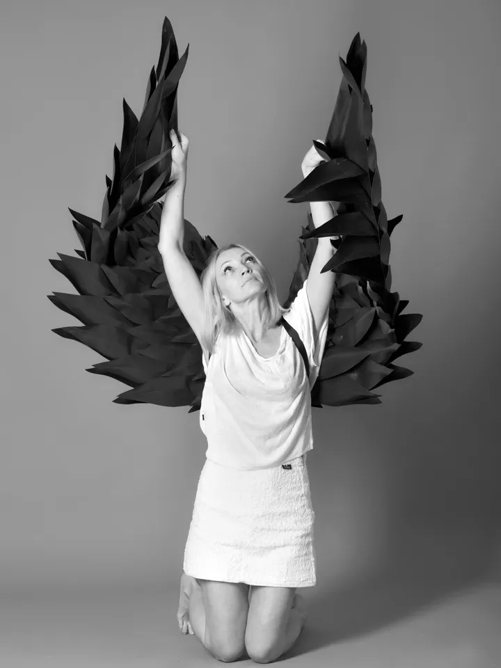 Black wings demon, cosplay wings, angel wings costume, wings photo prop, angel wings adult, devil angel, Wings for Men