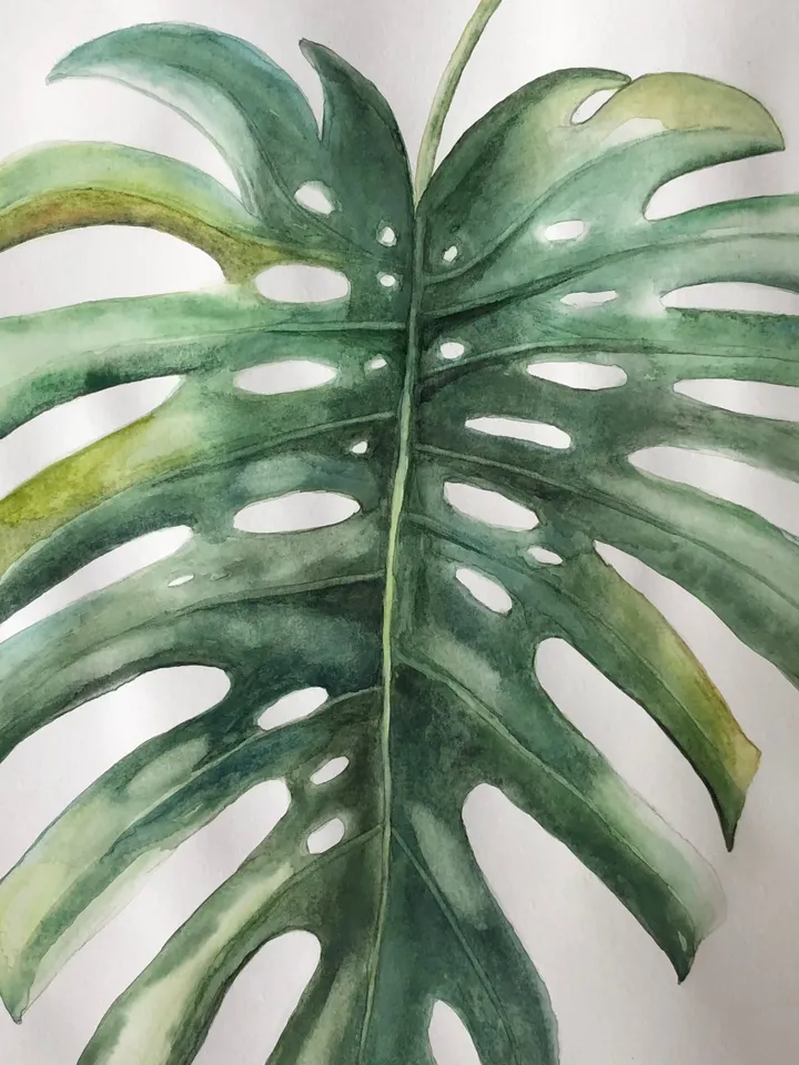 Original Watercolor painting monstera flowers wall art 11.6 x 16.4'' inches