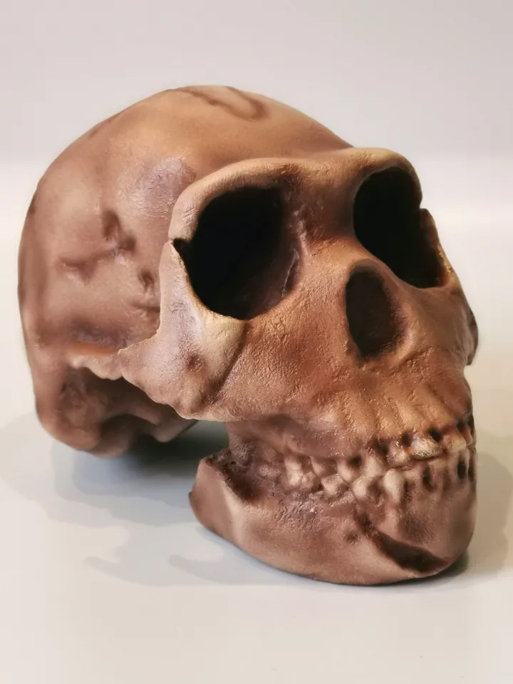 Homo Naledi Skull Replica of DH1 Find, Prehistoric Fossil Collection, Realistic Hominid Skull, Museum Quality