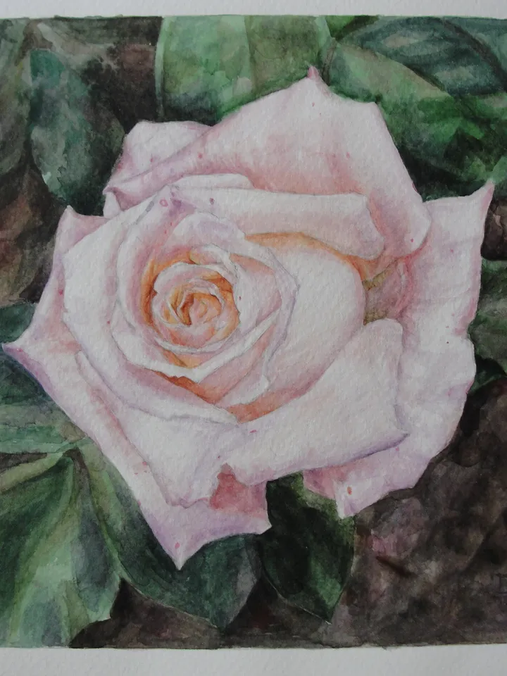 "Violet Rose" Flower Original Wall Art Painting Watercolor Artwork, 17x17cm.