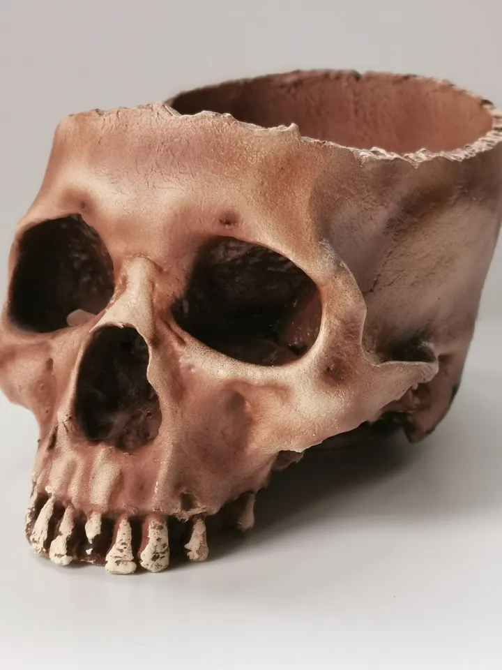 Skull Planter, Human Skull Bowl, Skeleton Bowl, Skull Decoration, Skull Pot, Halloween Bowl, Realistic Human Size Skull Replica Bowl