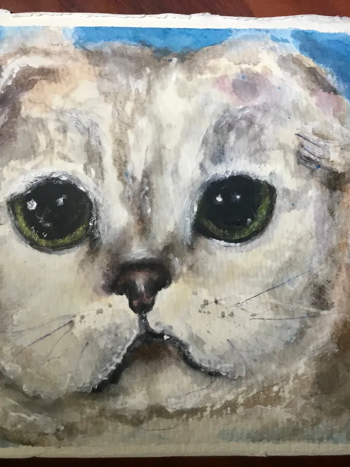 Scottish fold cat original watercolour painting,animals painting,gift for cat lovers,unique gift,white cat painting.