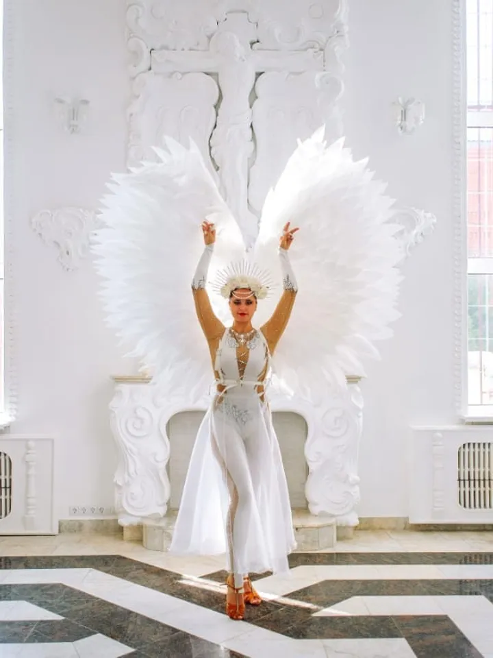 Angel Wings, Costume Wings, Cosplay Wings, Party Wings, Dance Wings, Wedding Costumes