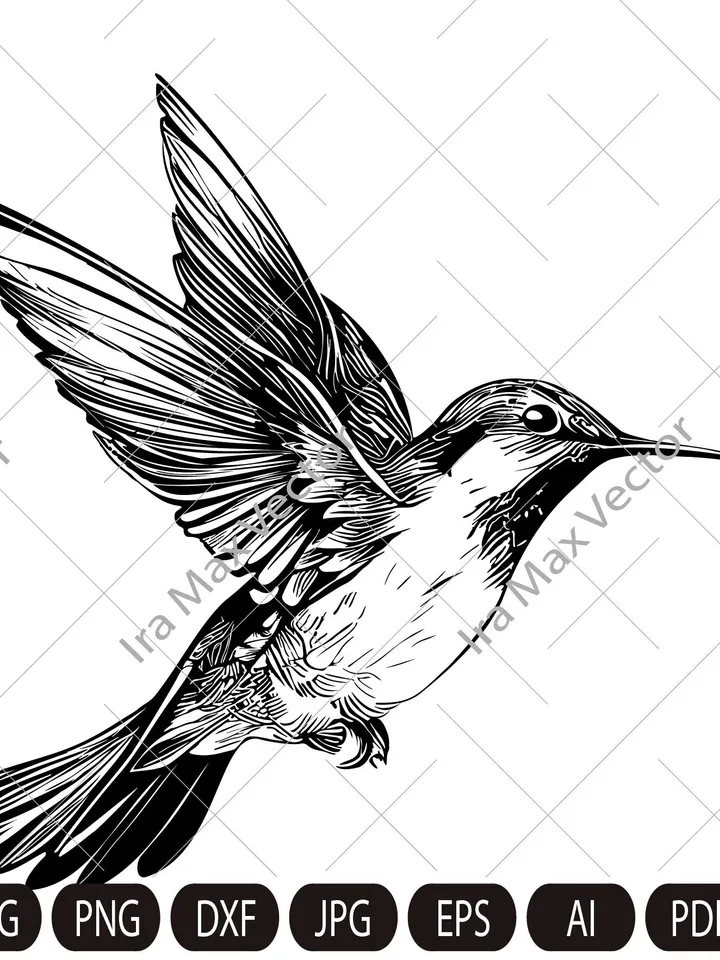 Hummingbird Svg, Hummingbird Clipart, Hummingbird Png, Hummingbird flying, Hummingbird Cut Files , Bird Silhouette, little bird,flower bird