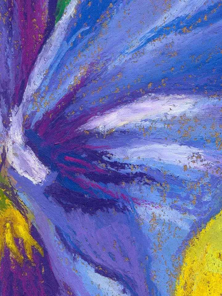 Drawing Viola yellow purple Garden variegated flowers Oil pastel on A4 kraft paper