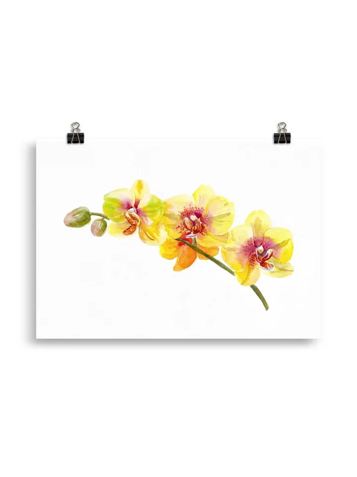Watercolor Orchid Art Flower Line Art  Wild Flowers Botanical Printable Wall Art Flower Print Minimal Botanical Poster Giclee Botanical Art