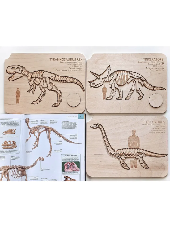 Wooden Puzzle Dinosaur Skeletons Montessori puzzle science play T-Rex puzzle