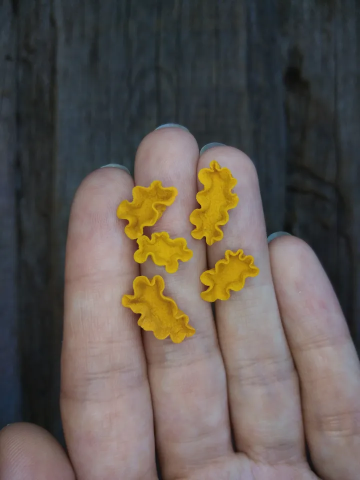 Set of miniature corals shades of orange, tiny corals for diorama, dollhouse or resin art