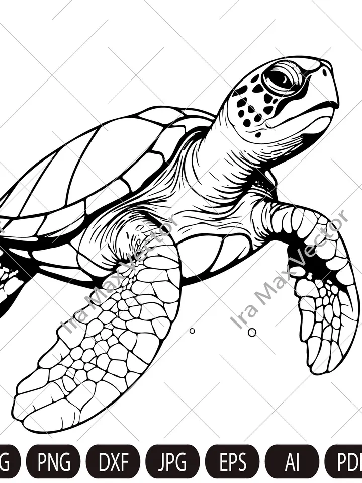 Turtle Svg, Turtle Clipart, Turtle Png, Turtle Head, Turtle vector , Turtle Silhouette, Animals Silhouette, reptile svg, Sea turtle