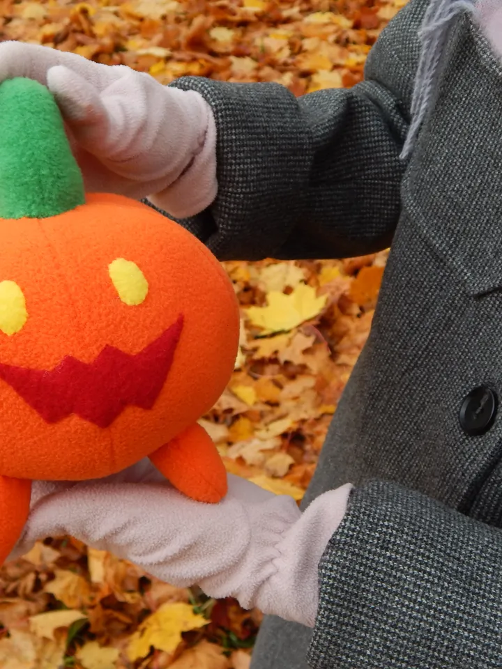 Pumpkin dog plush toy