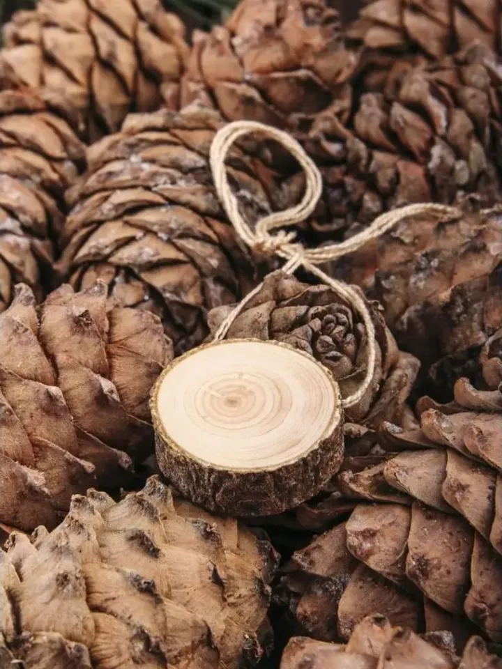 Siberian Ringing Cedars eco-friendly jewelry Pendant accessory amulet from Altai