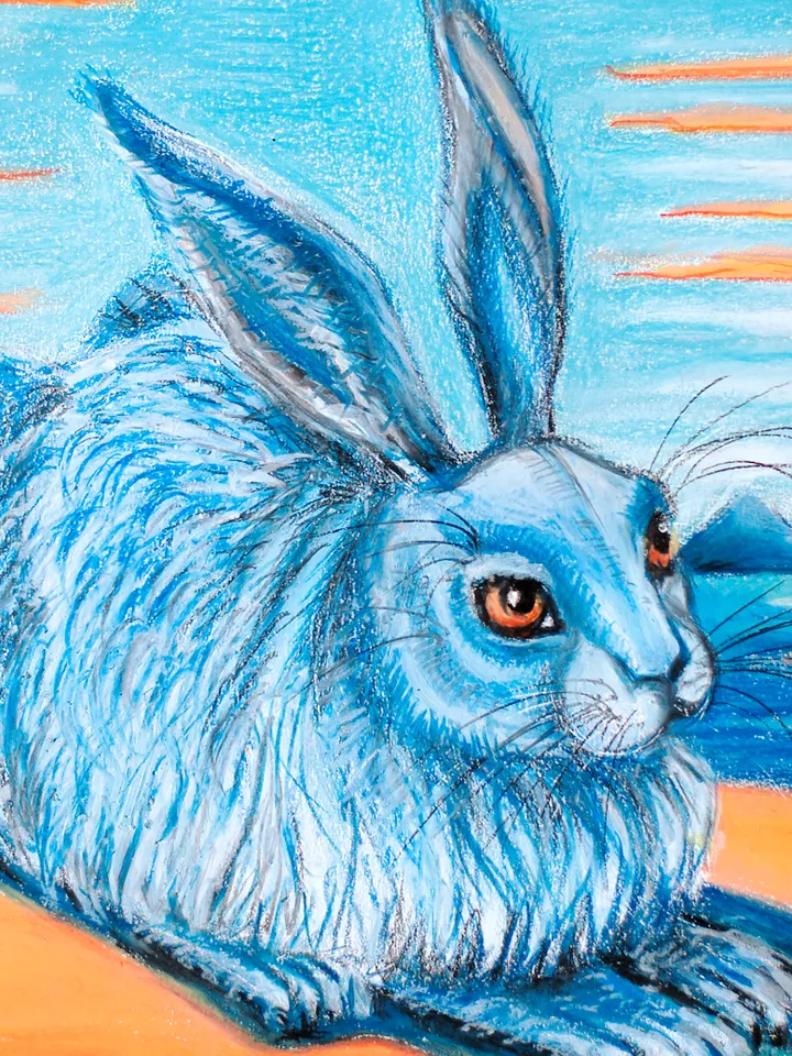 Water bunny