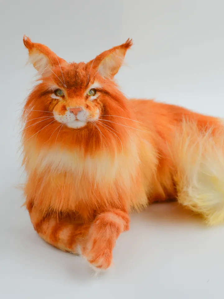 Maine Сoon realistic cat