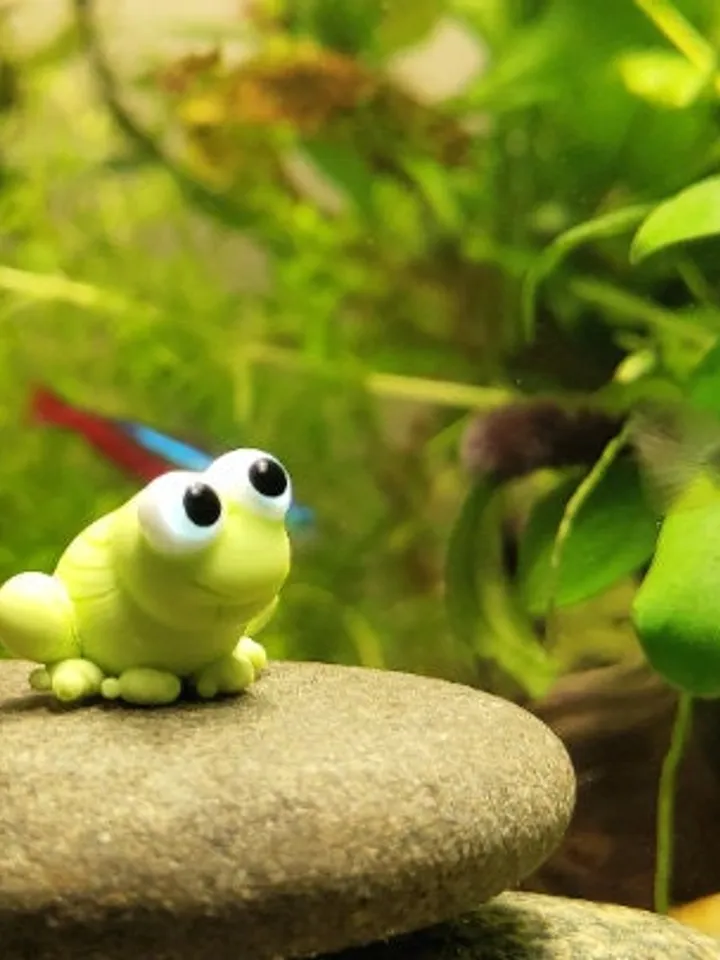 AQUARIUM DECORATION Frog figurine Small Aquarium decor Aquarium figurine Aquarium gifts Aquarium ornament Tiny frog Glass frog miniature