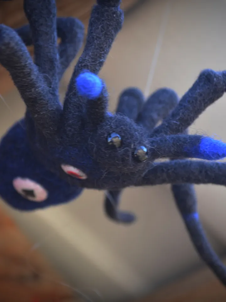 Spider hypnosius.