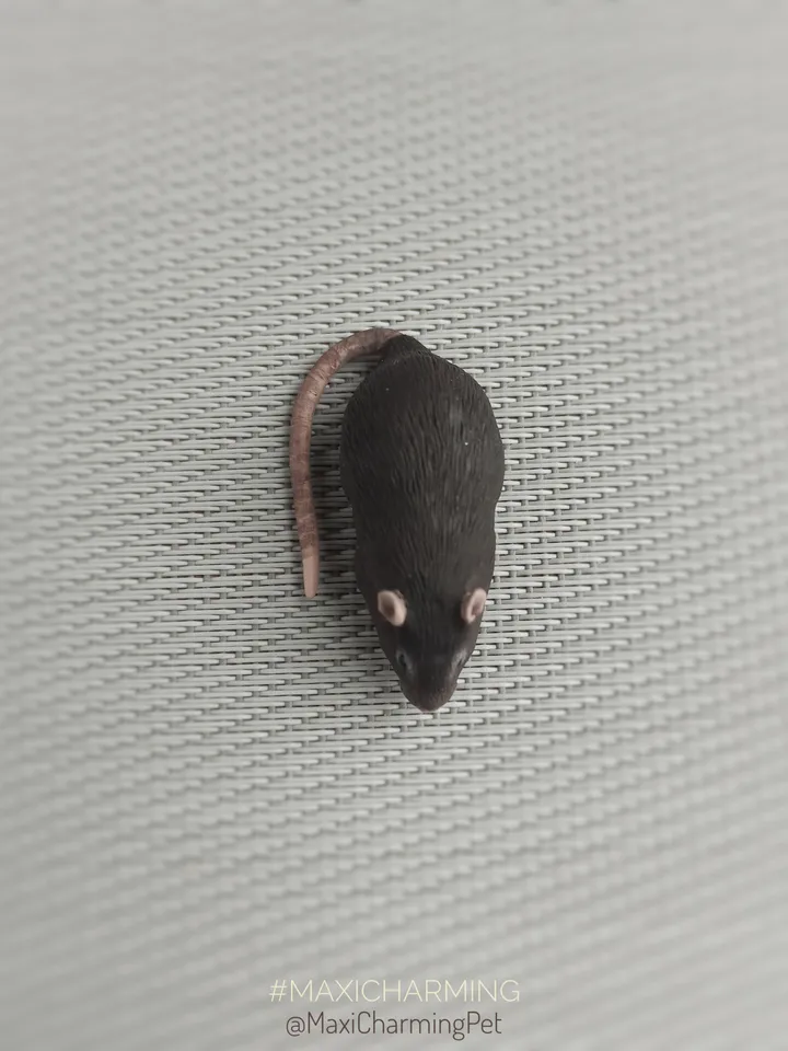 Custom rat small sculpture