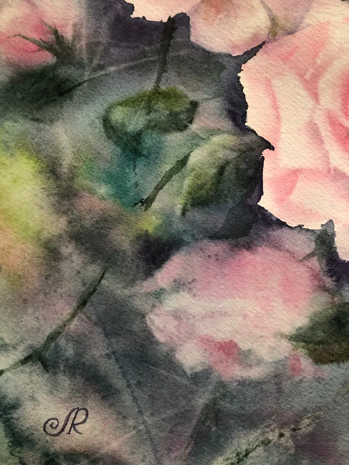 Roses Original Watercolor Painting Pink Flowers Wall Art Floral Artwork