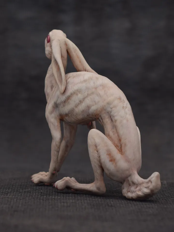 White rabbit