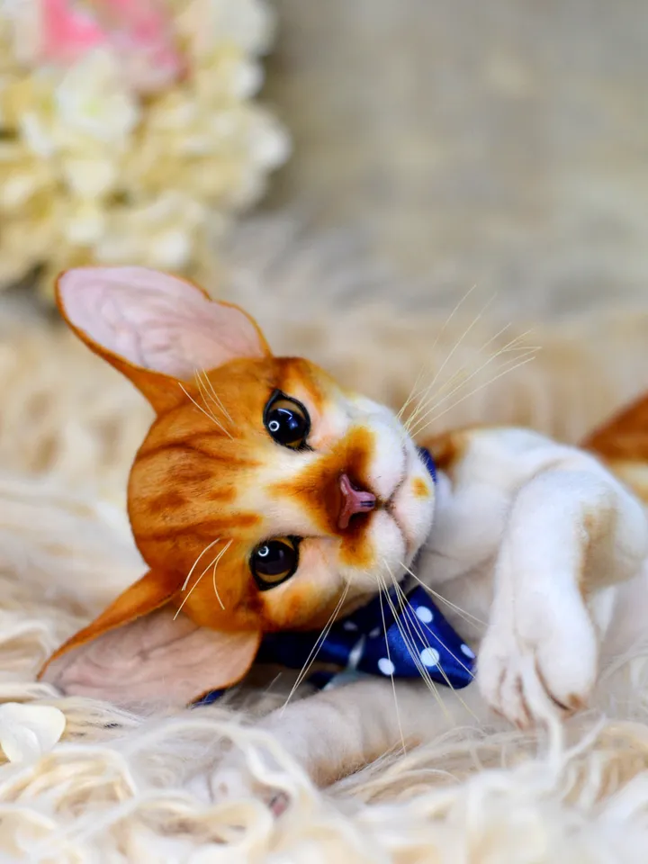 Realistic Stuffed Cat Toy - Portrait of a Domestic Plush Toy - Stuffed Cat - OOAK - Kitty Aurora